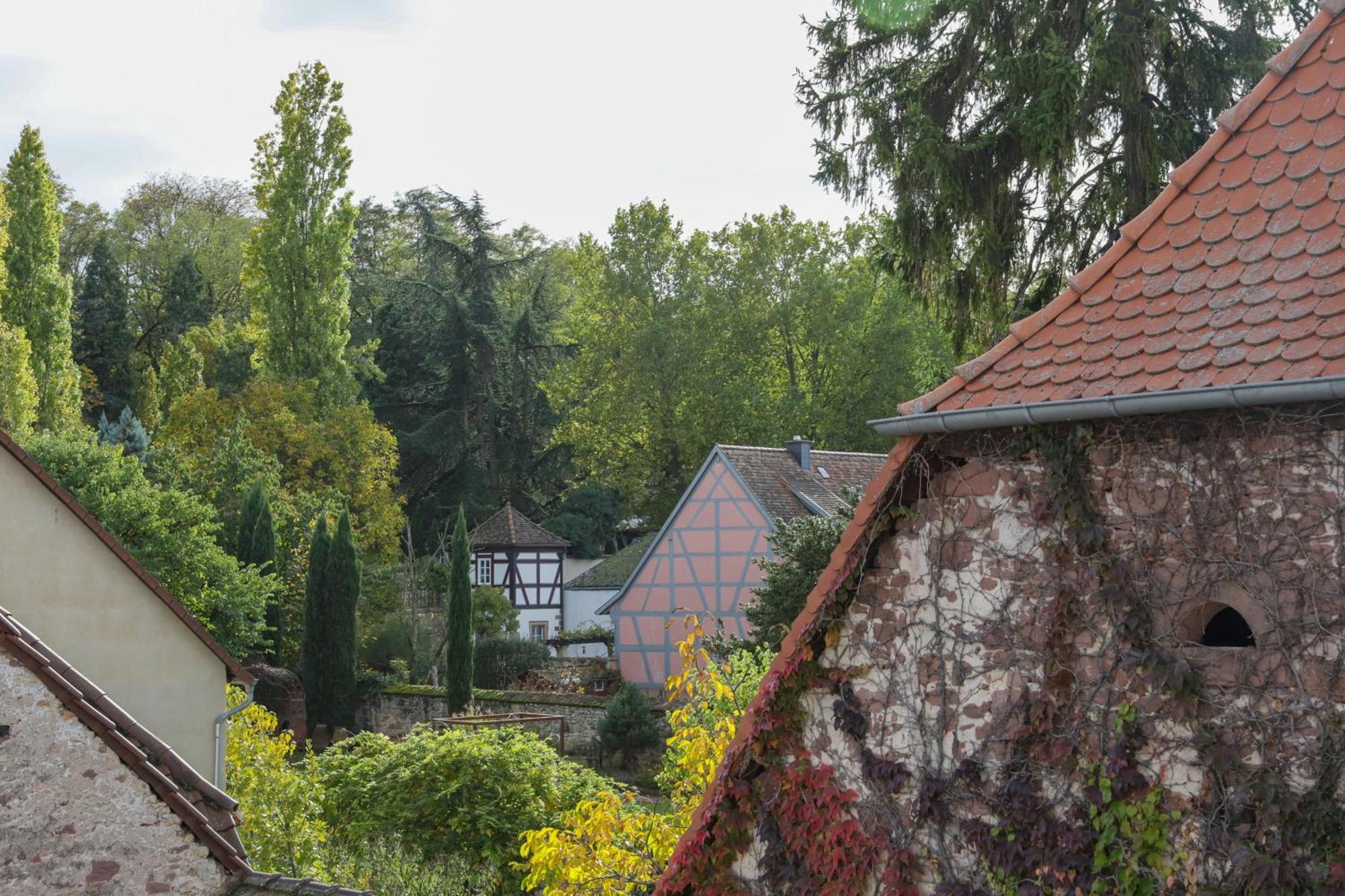 Boutique-Hotel Im Sternenhof Grosskarlbach Luaran gambar